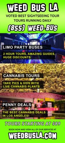 Unperson-Studio-Weed-Bus-LA